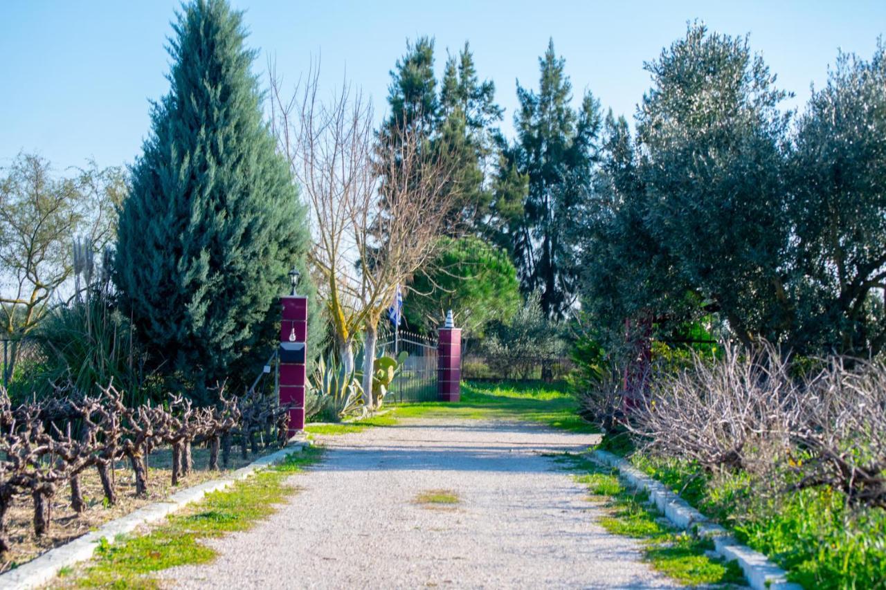 Loukas Farm House Áyios Kírikos 외부 사진