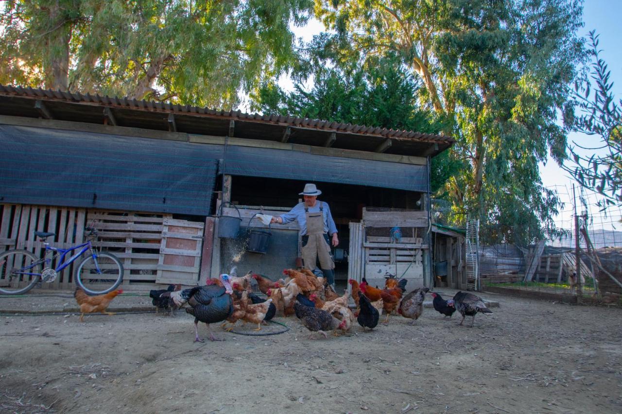 Loukas Farm House Áyios Kírikos 외부 사진