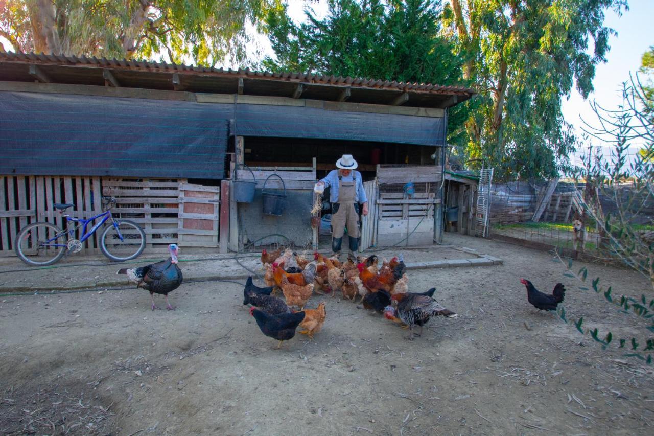 Loukas Farm House Áyios Kírikos 외부 사진