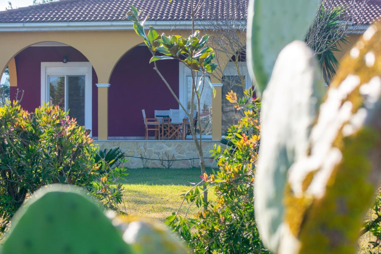 Loukas Farm House Áyios Kírikos 외부 사진